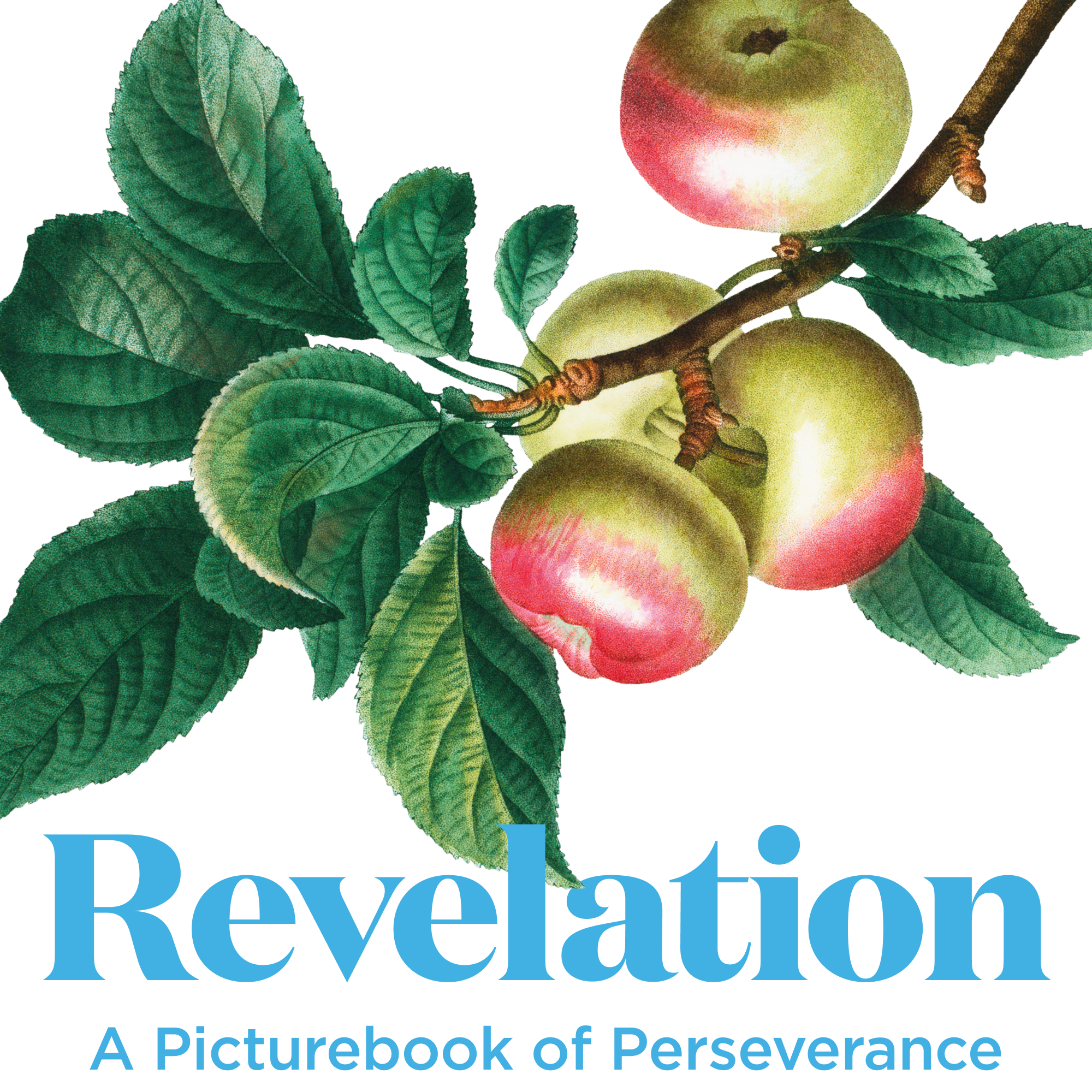 Revelation: Letter to the Complacent Church